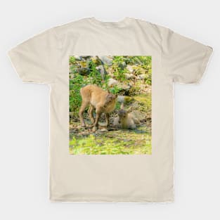 Baby ibexes T-Shirt